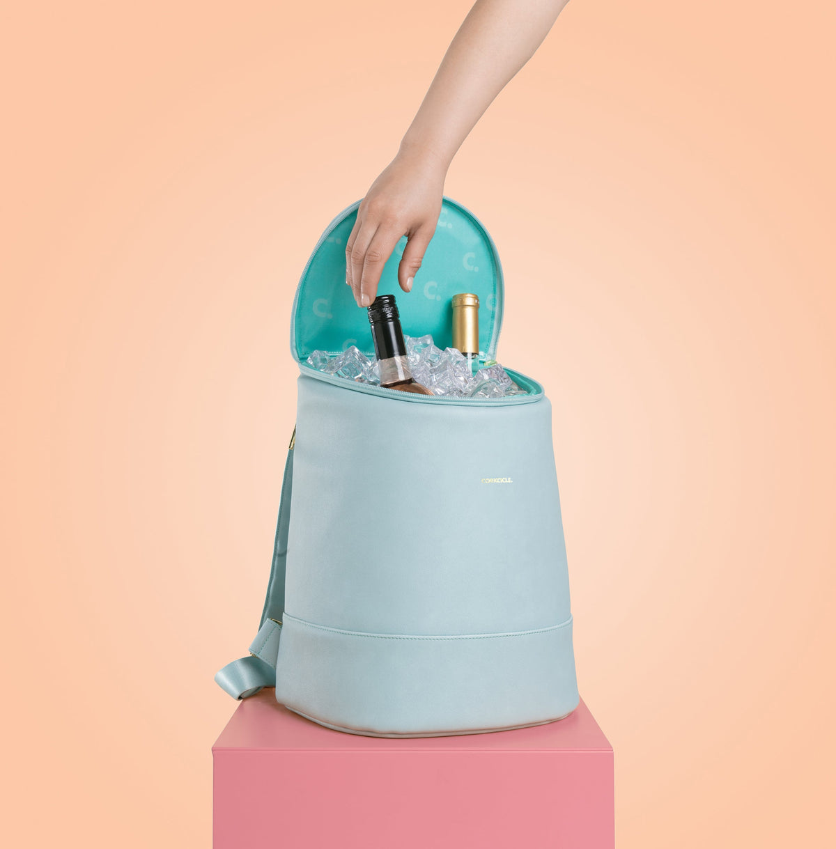 eola-bucket-cooler-bag-v7 a405954e83cf--EOLA-Bucket-copy.jpg